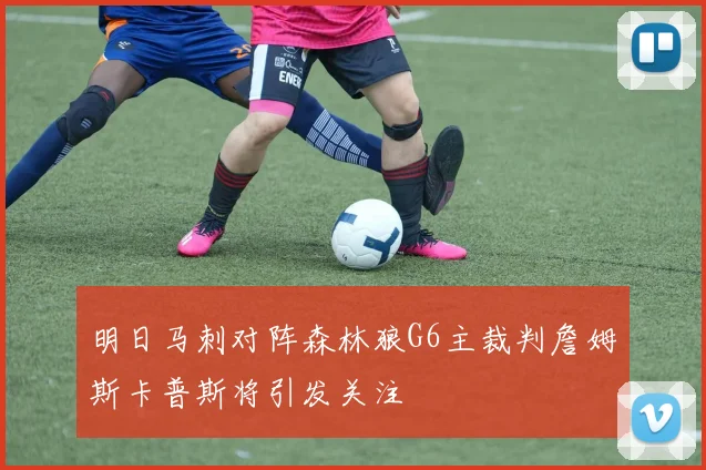 明日马刺对阵森林狼G6主裁判詹姆斯卡普斯将引发关注